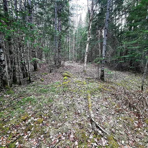 0 Scenic Ridge Road Whitefield NH 03598