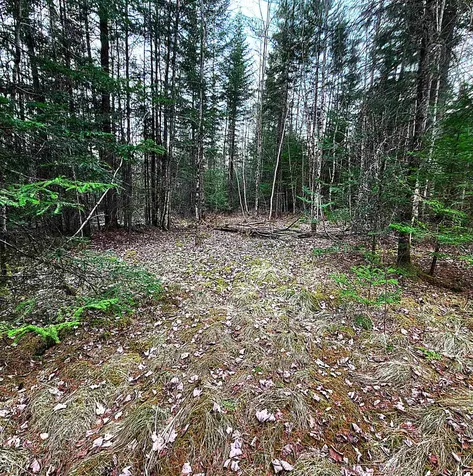 0 Scenic Ridge Road Whitefield NH 03598