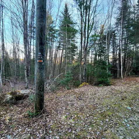 0 Scenic Ridge Road Whitefield NH 03598