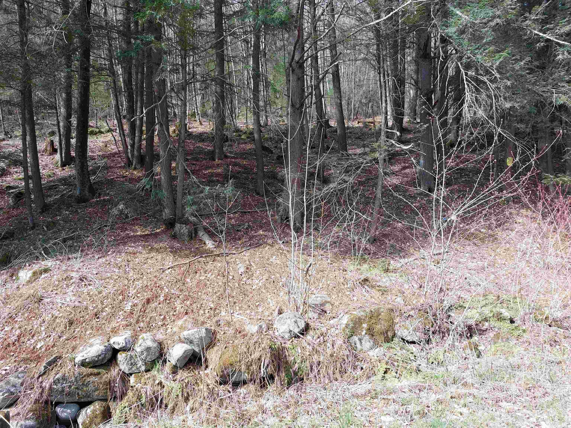 0 Marlboro Road Keene NH 03431