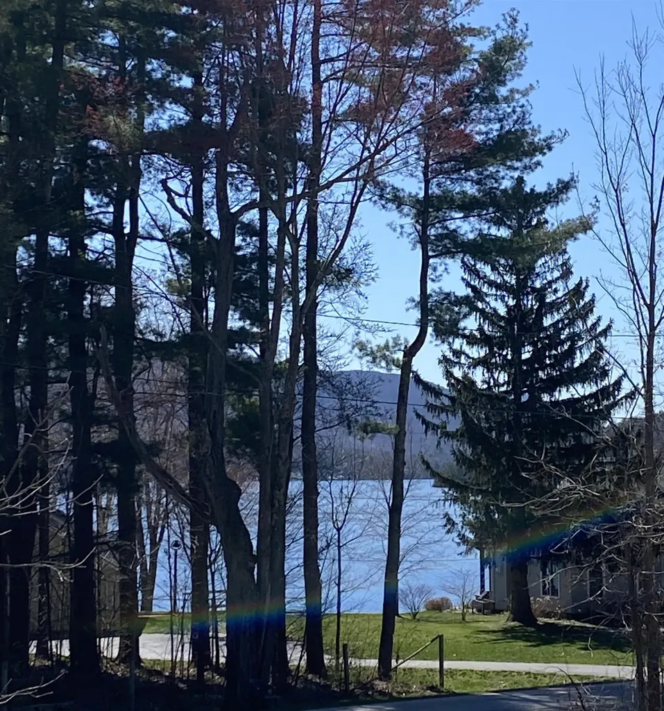 348 West Shore Road Salisbury VT 05769