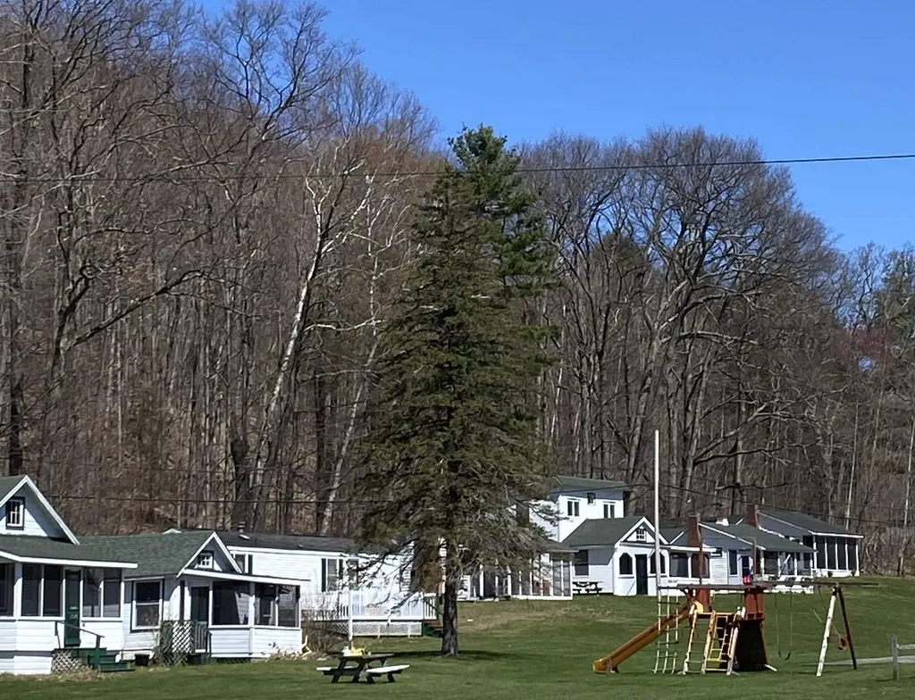 348 West Shore Road Salisbury VT 05769