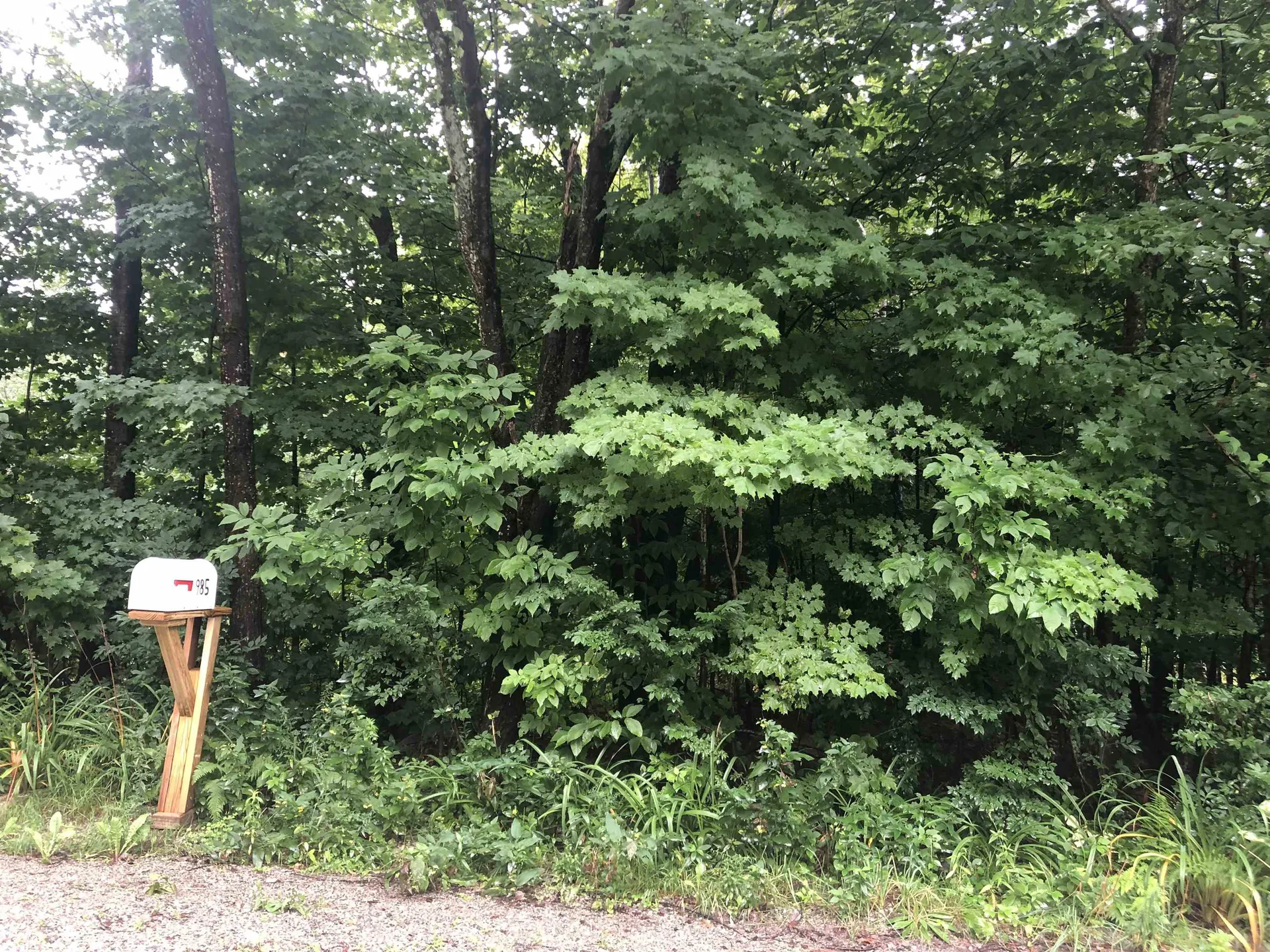 982 Chapel Hill Road Whitingham VT 05361