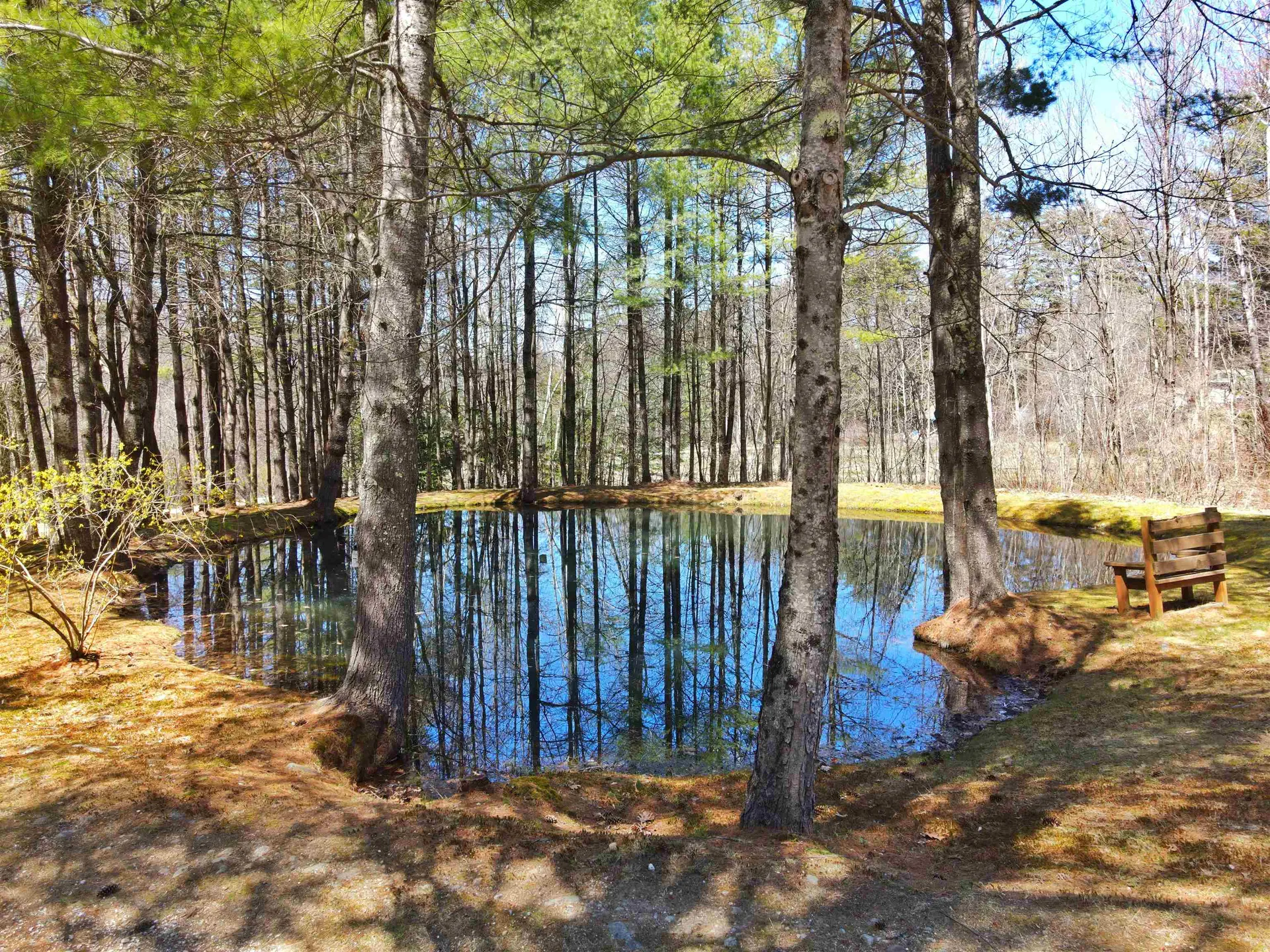 306 Berry Road Alexandria NH 03222