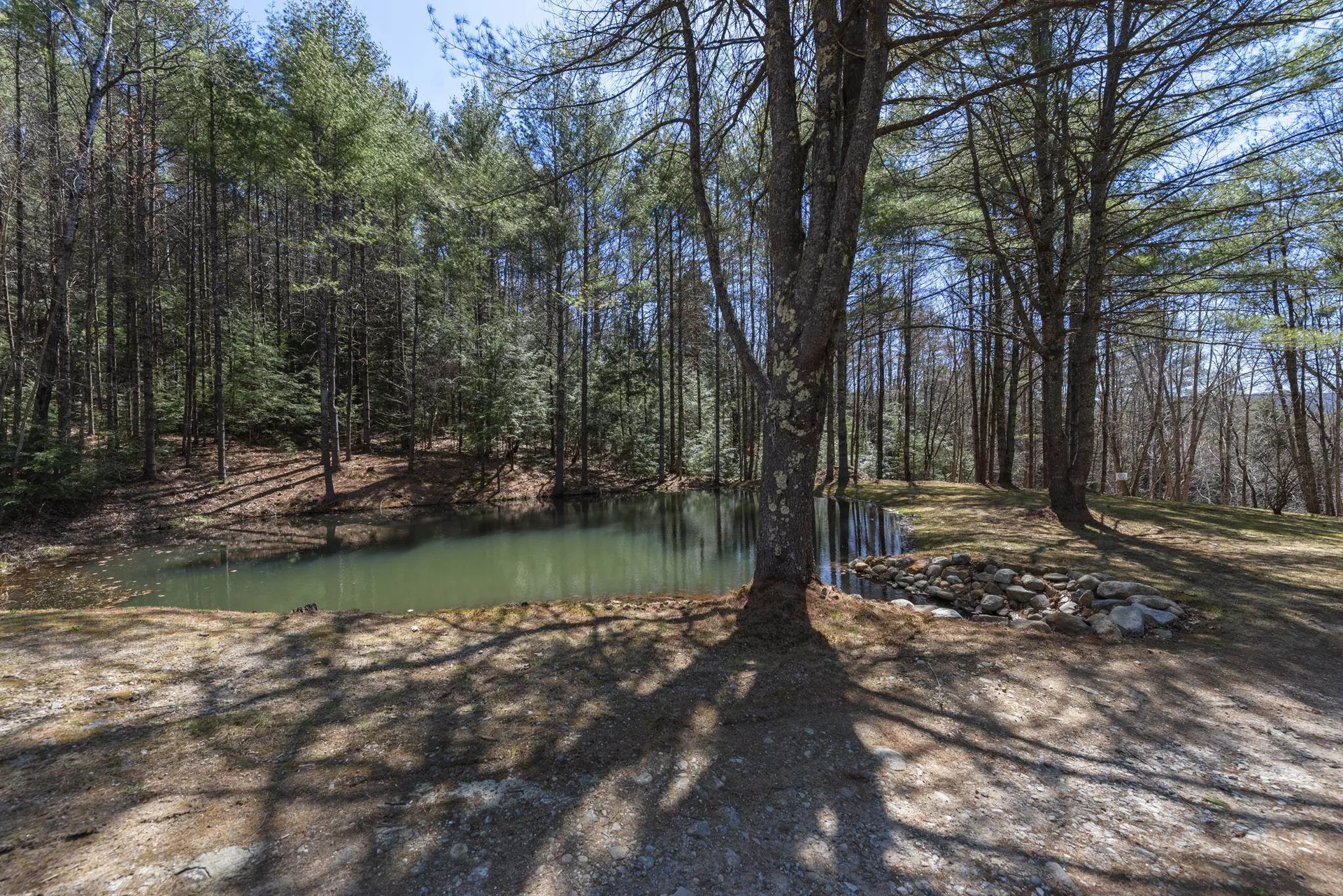 306 Berry Road Alexandria NH 03222
