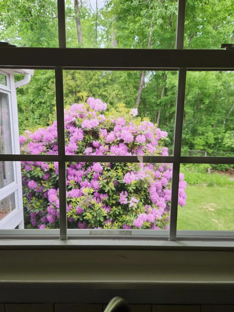 12 Prouty Parkway South Burlington VT 05403