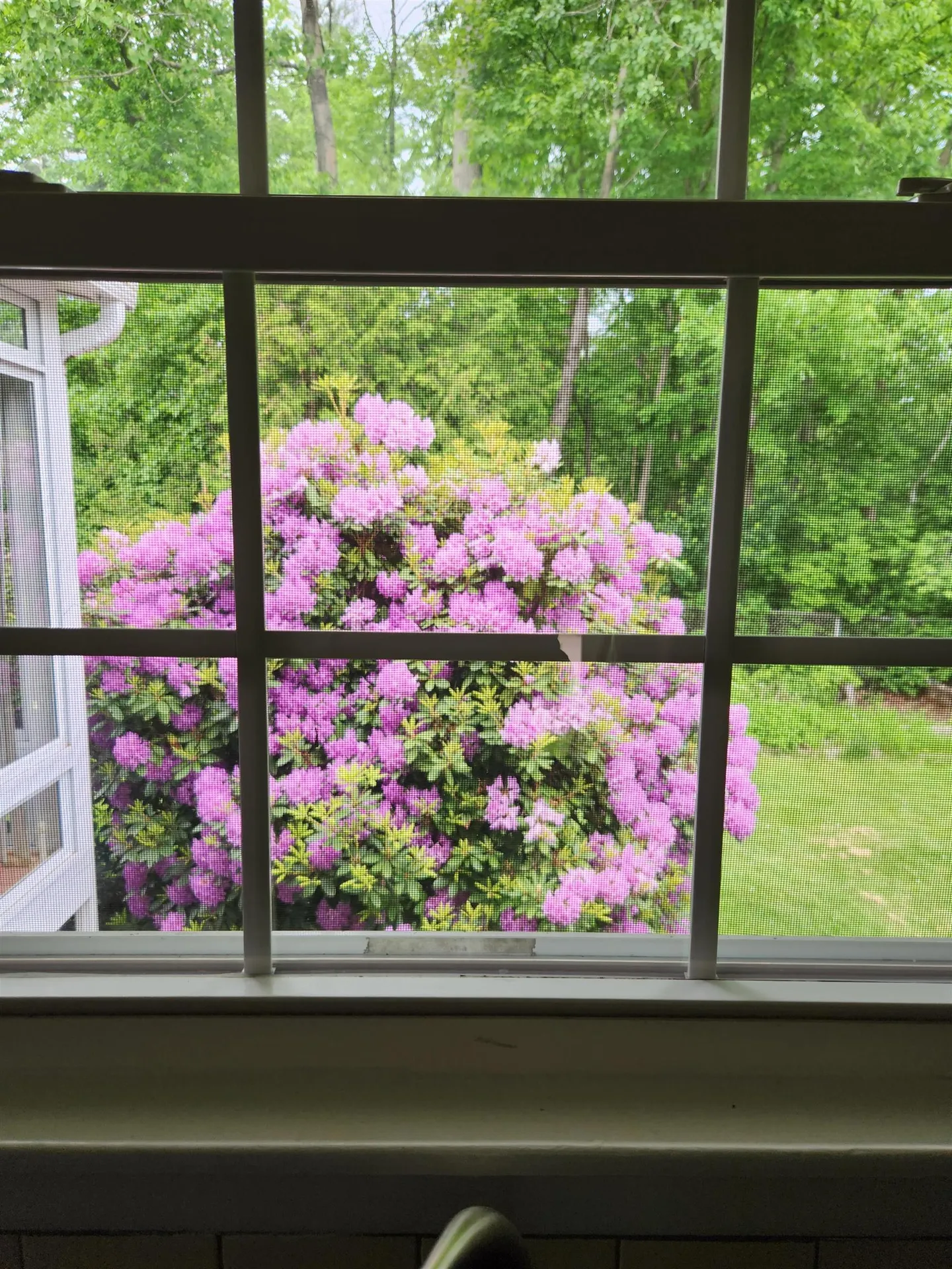 12 Prouty Parkway South Burlington VT 05403