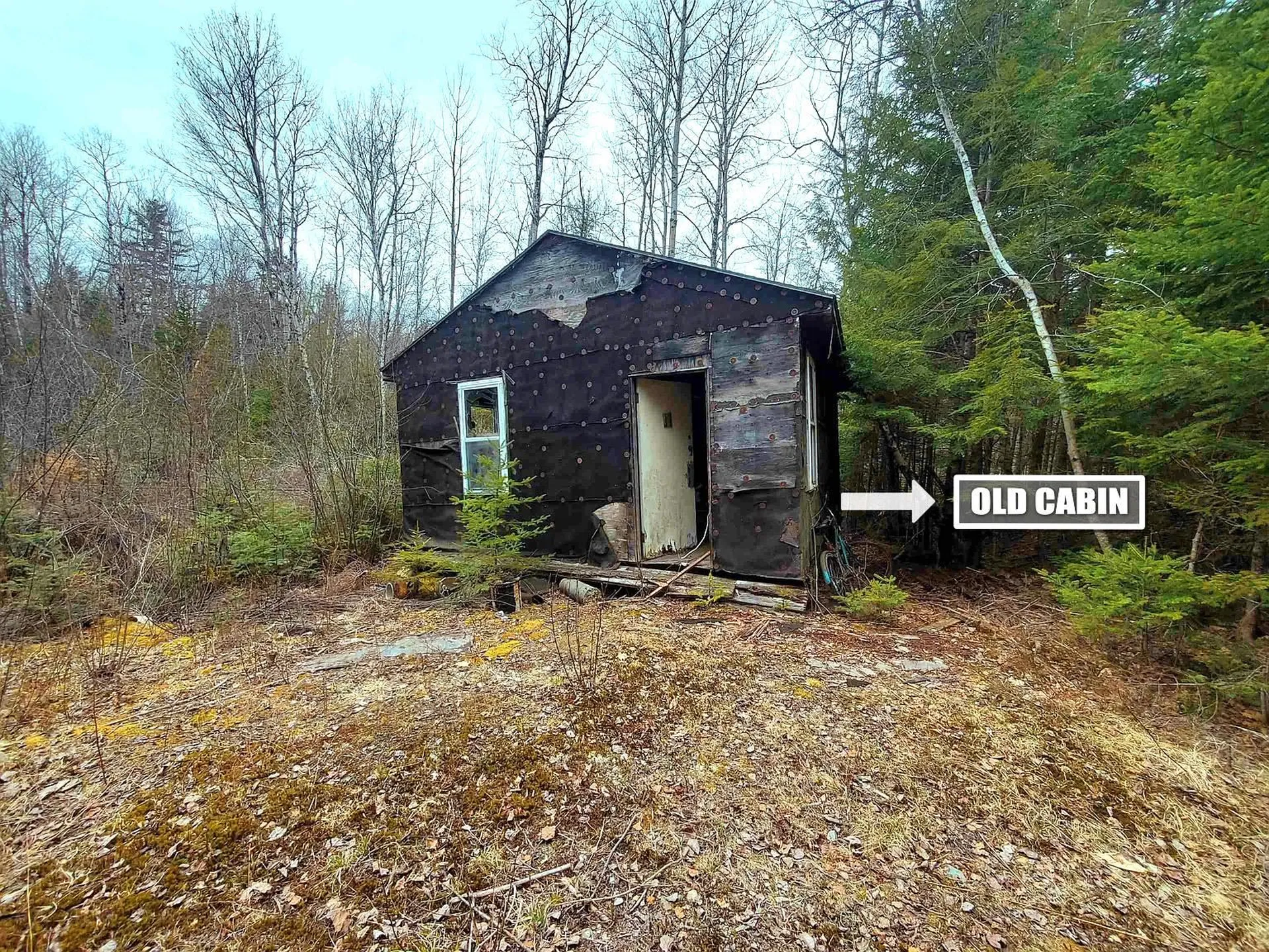 Eastman Access Road Springfield NH 03284