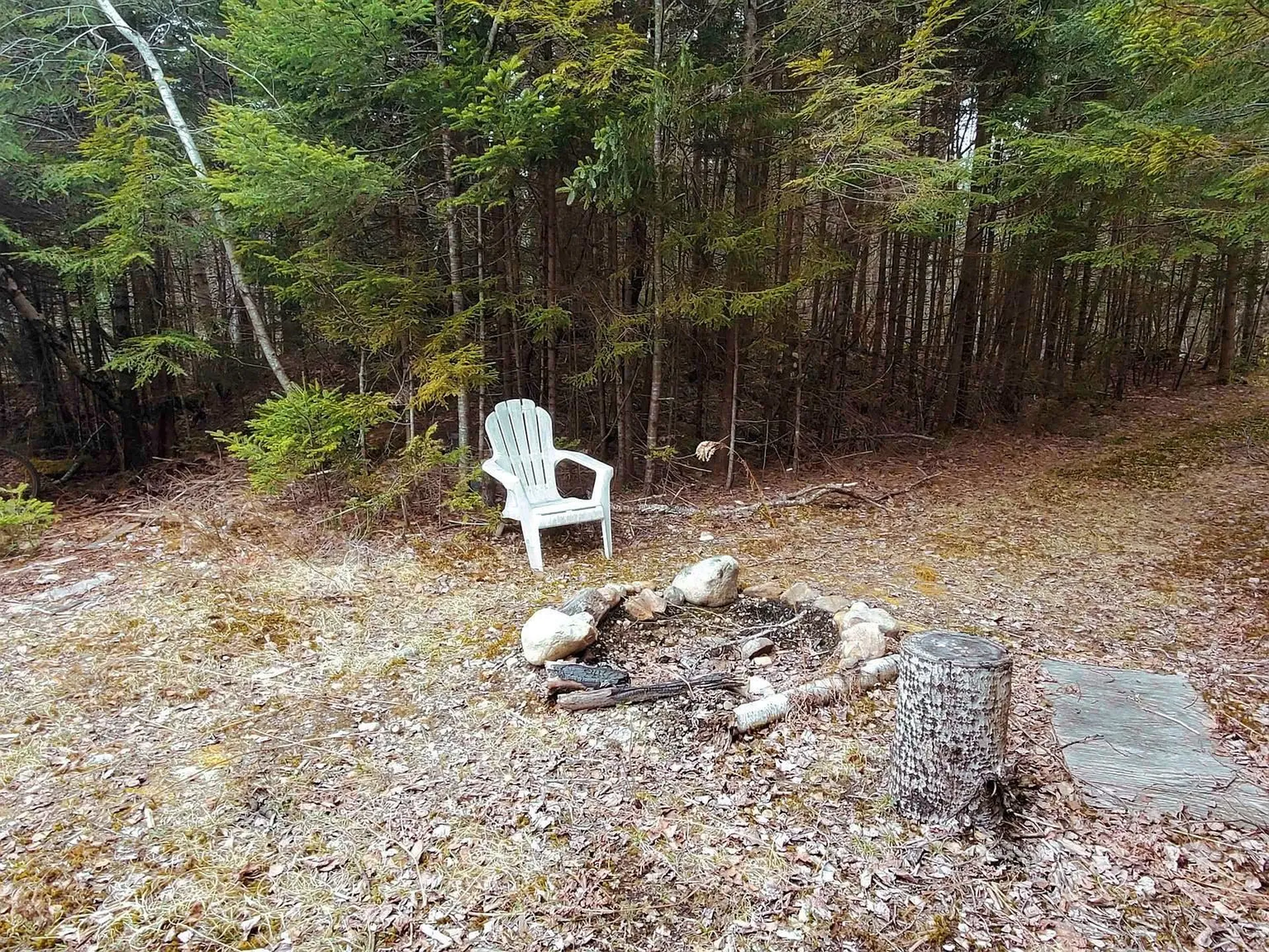 Eastman Access Road Springfield NH 03284