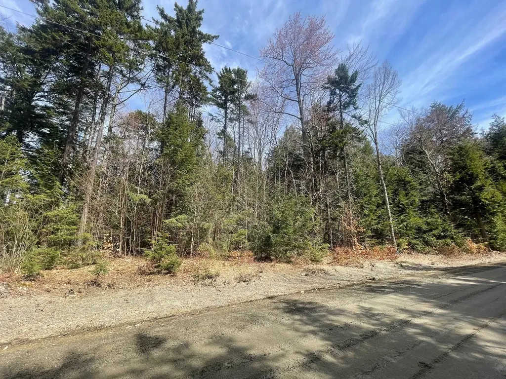 Lot 10 Willis Cemetery Road Stratton VT 05360