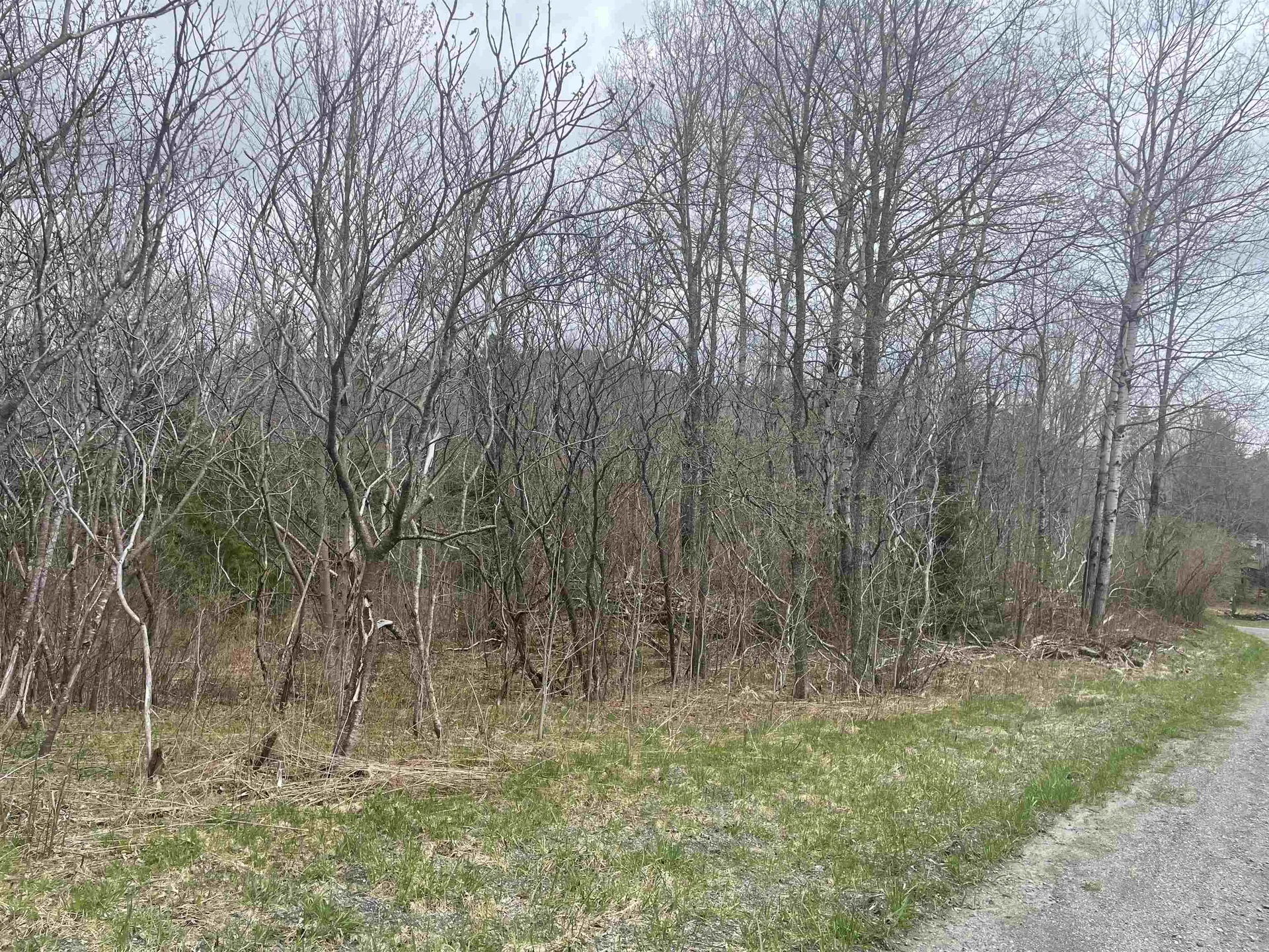 0 Pikes Falls Road Stratton VT 05360