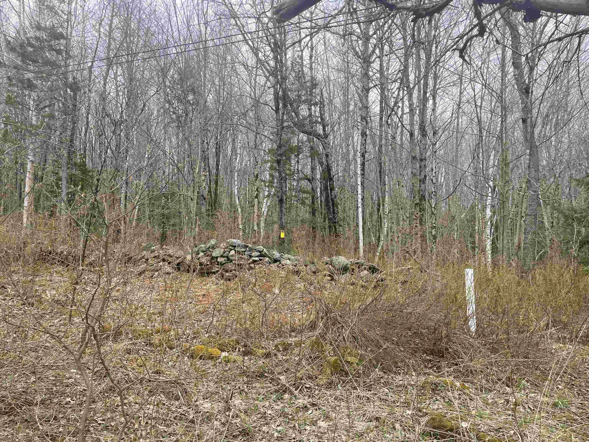 0 Pikes Falls Road Stratton VT 05360