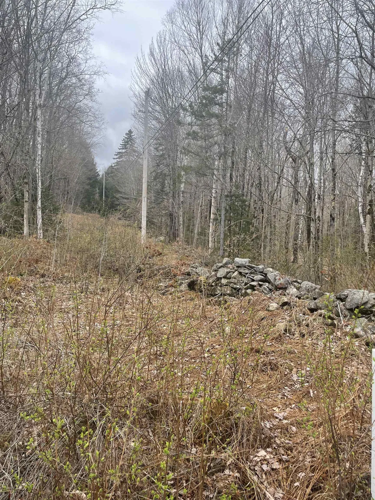 0 Pikes Falls Road Stratton VT 05360