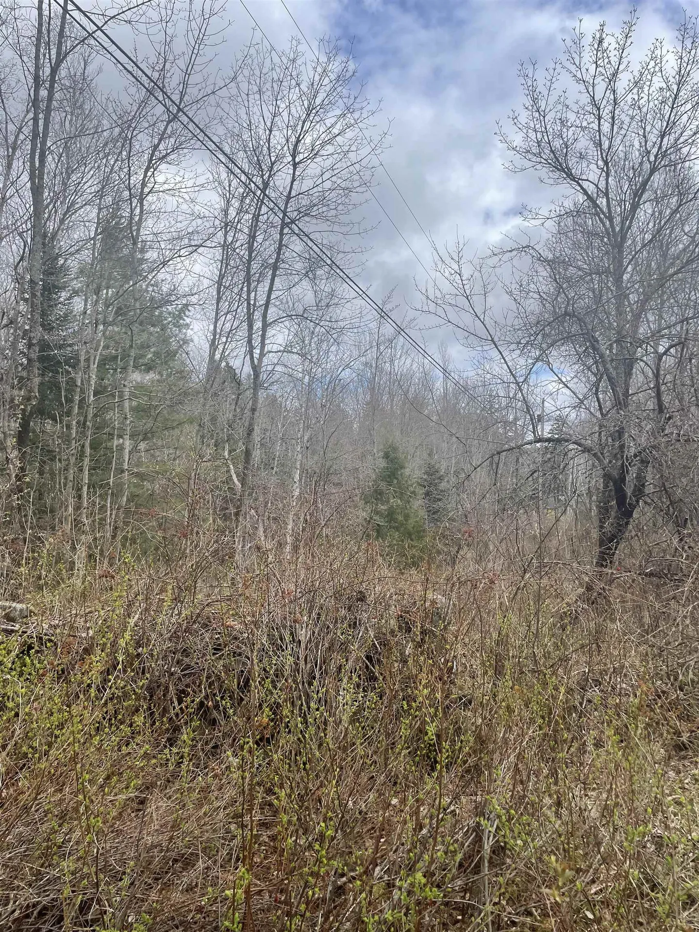 0 Pikes Falls Road Stratton VT 05360