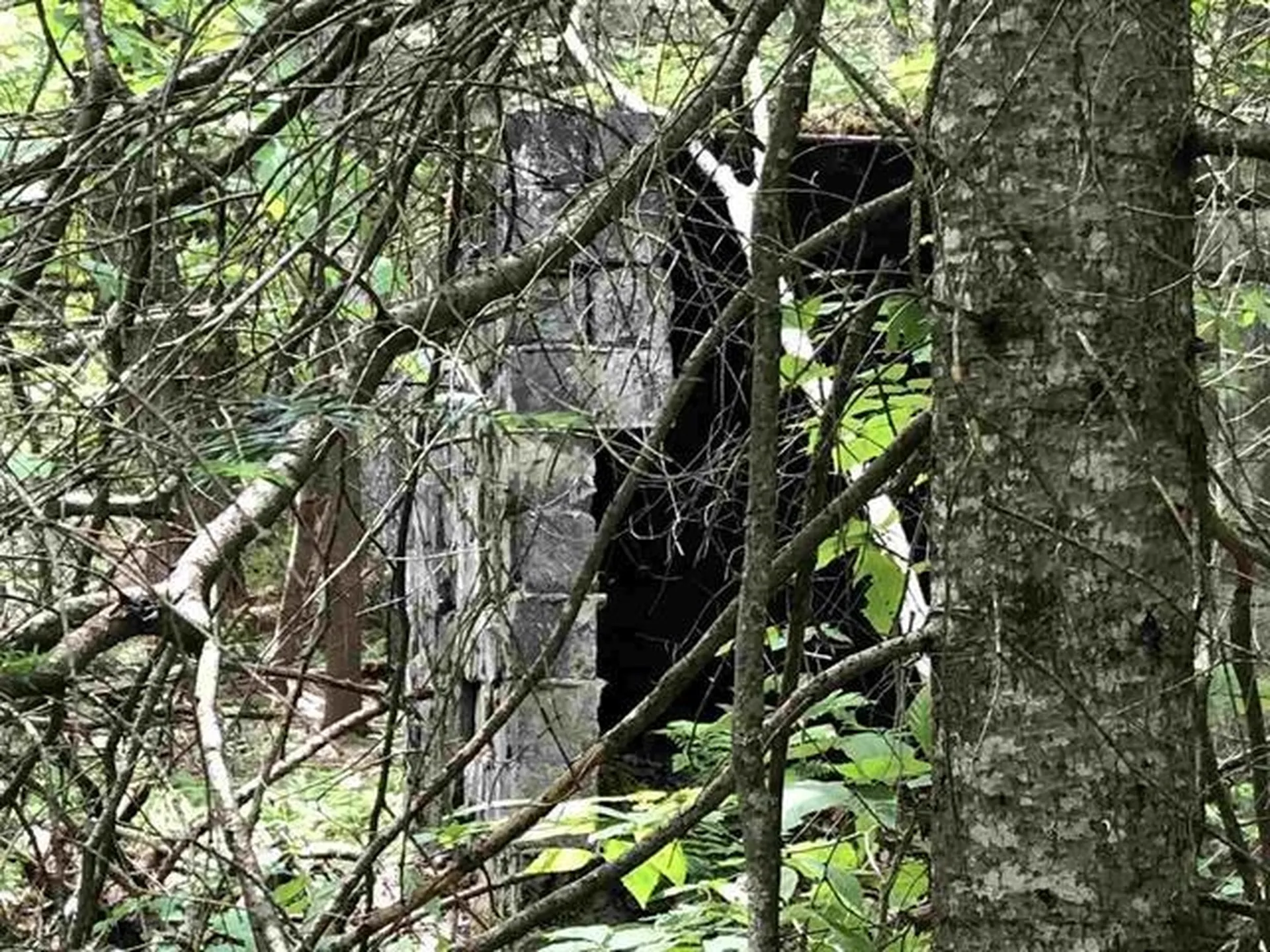 0 Pikes Falls Road Stratton VT 05360