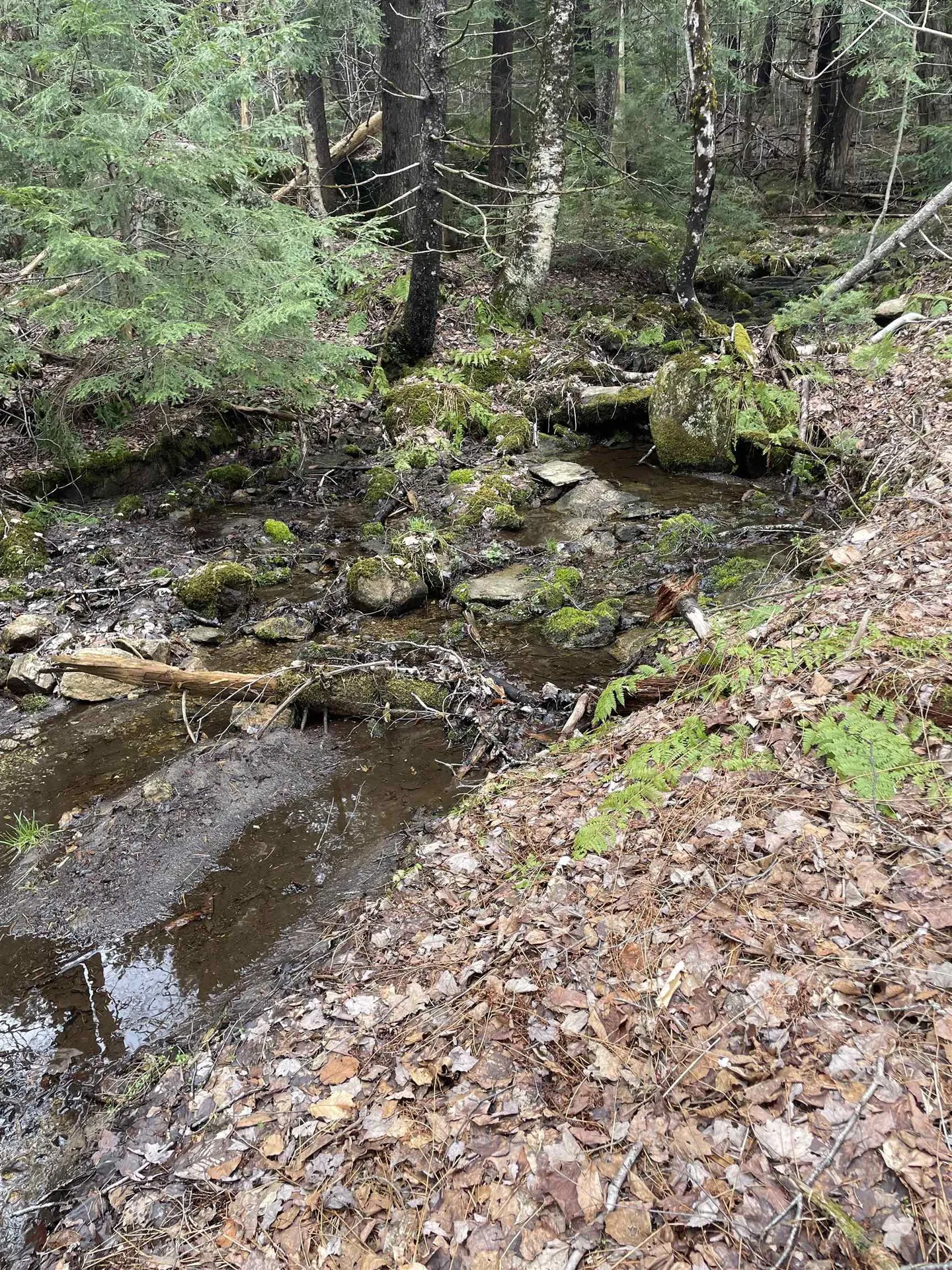 0 Pikes Falls Road Stratton VT 05360