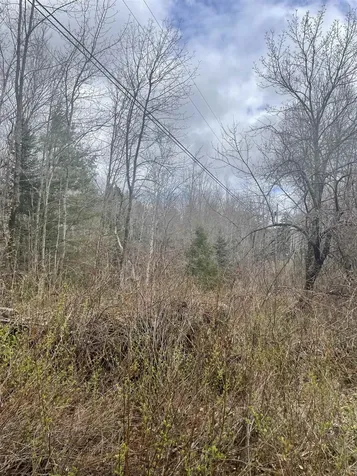 0 Pikes Falls Road Stratton VT 05360