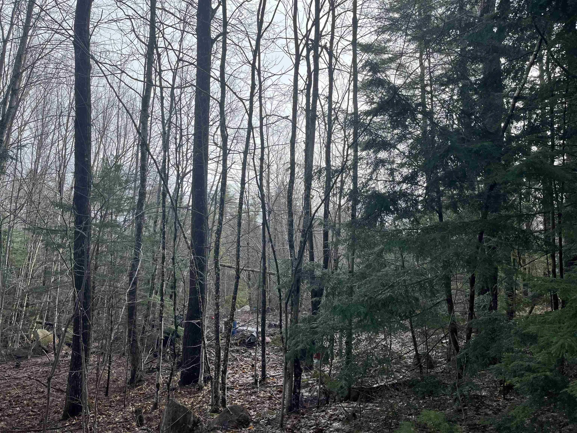 9 Moose Ridge Road Ossipee NH 03864