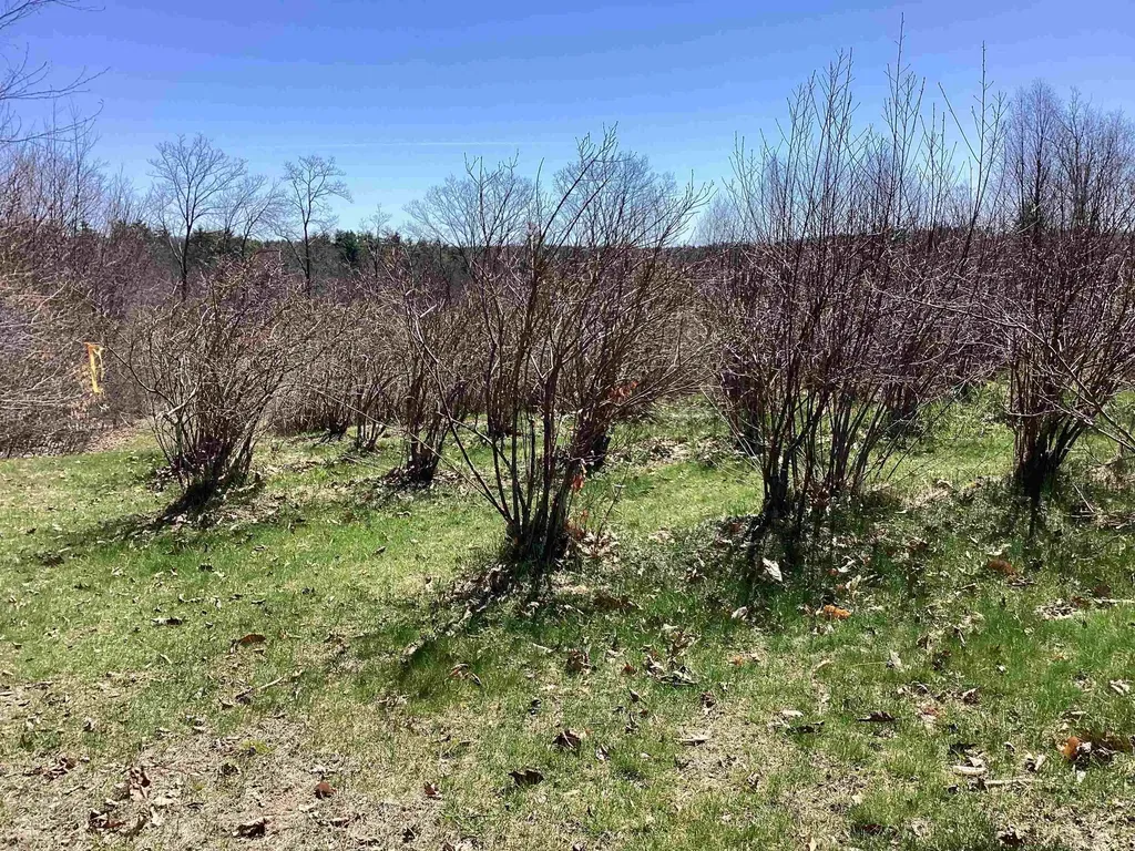 44 Monument Road Richmond NH 03470