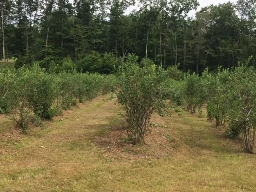44 Monument Road Richmond NH 03470