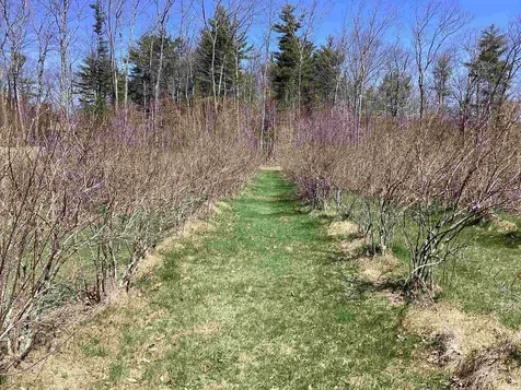 44 Monument Road Richmond NH 03470