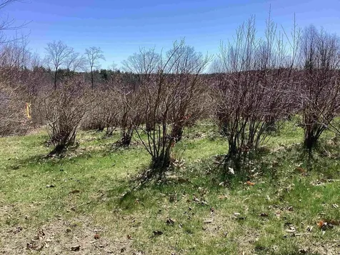 44 Monument Road Richmond NH 03470
