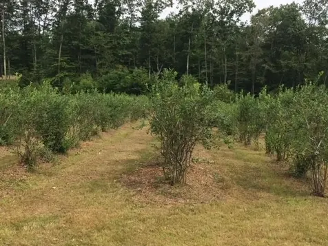 44 Monument Road Richmond NH 03470