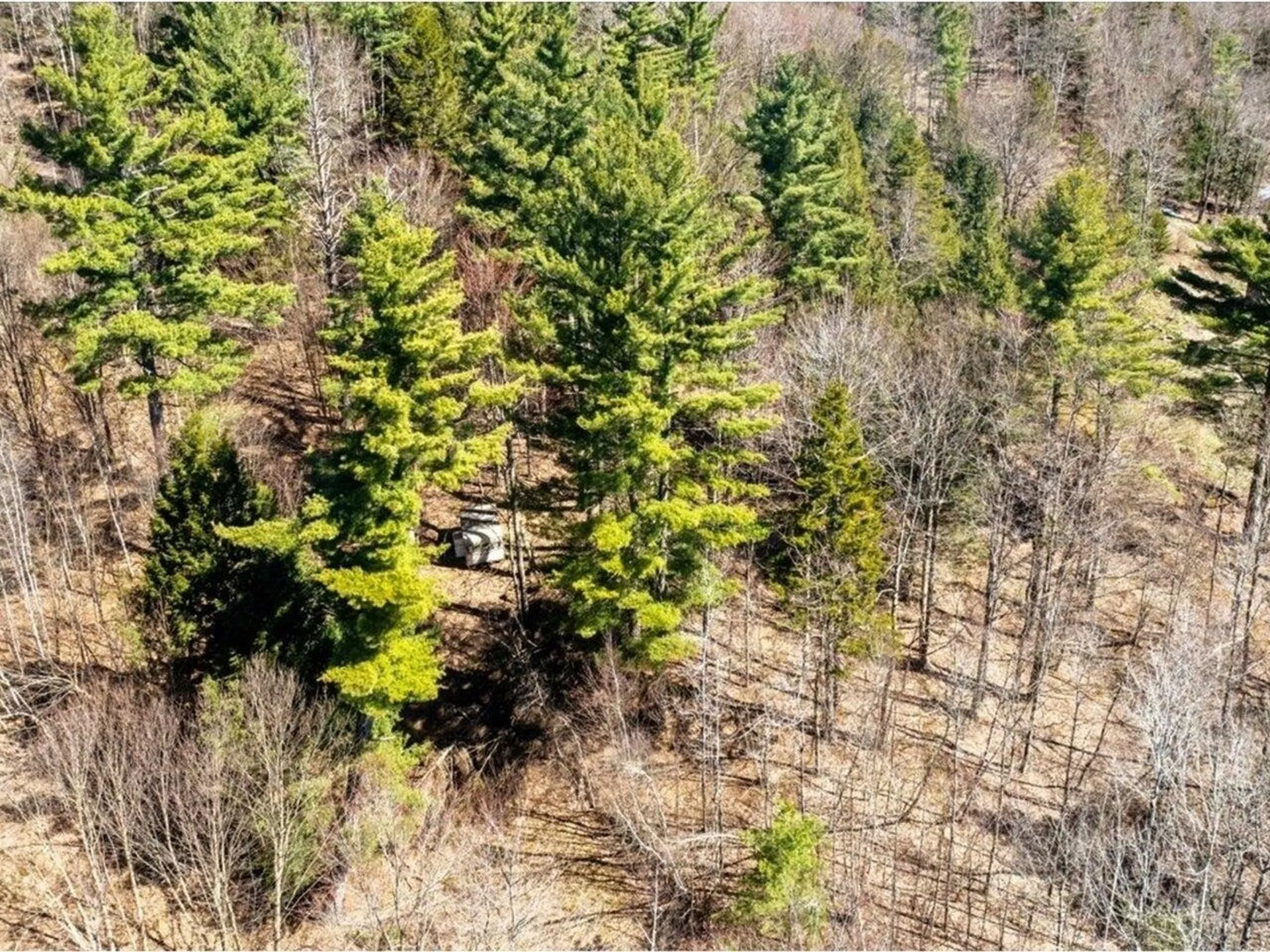 2129 Corliss Road Richford VT 05476