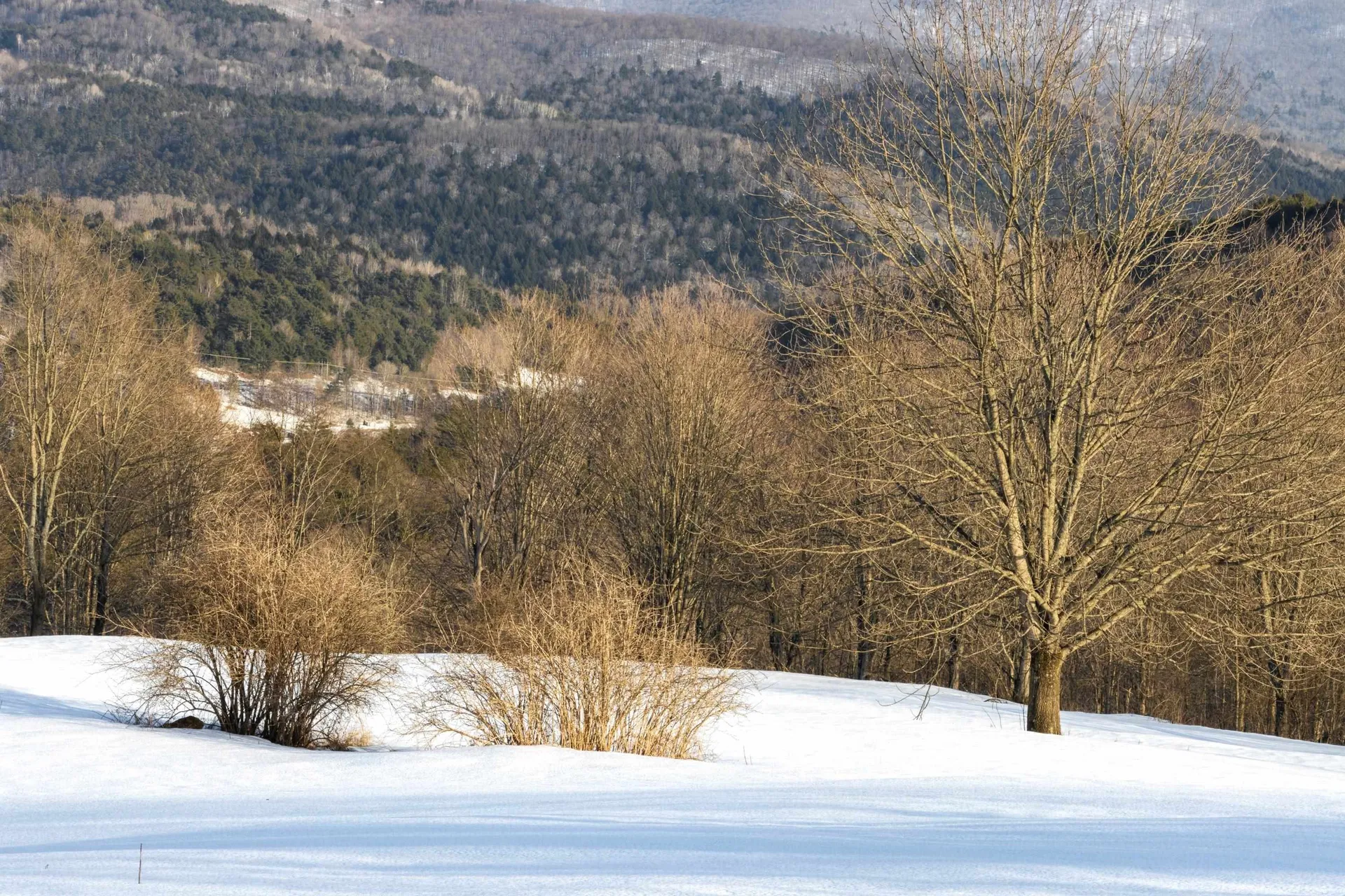 51 Hook Road Chelsea VT 05038