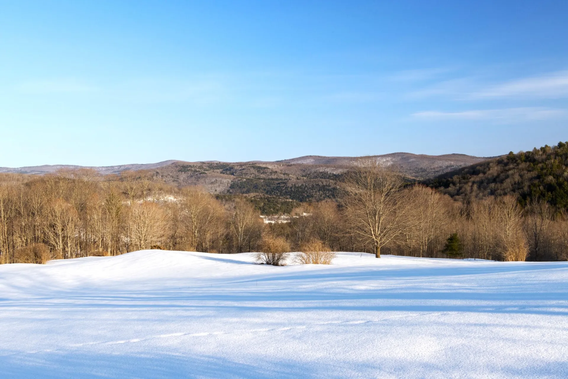 51 Hook Road Chelsea VT 05038