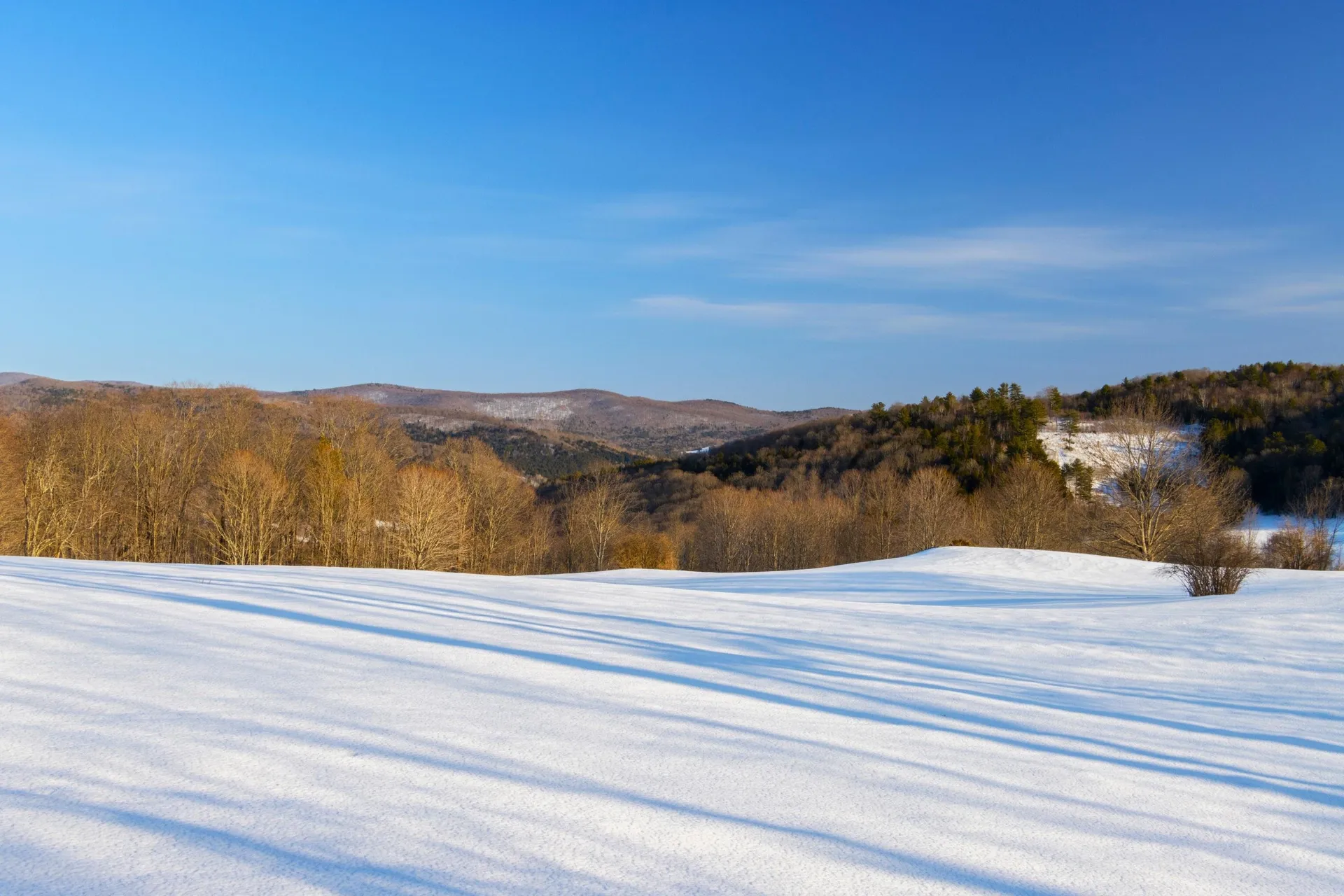 51 Hook Road Chelsea VT 05038