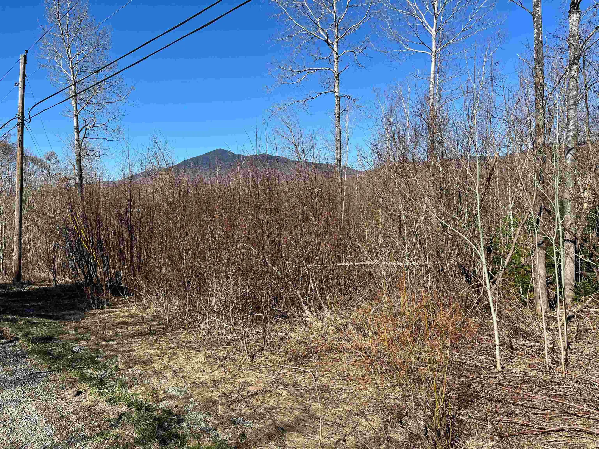 259 County Road Lincoln VT 05443