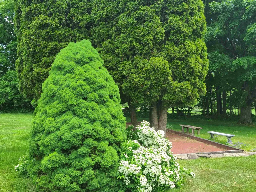 164 Landmark Lane Manchester VT 05255