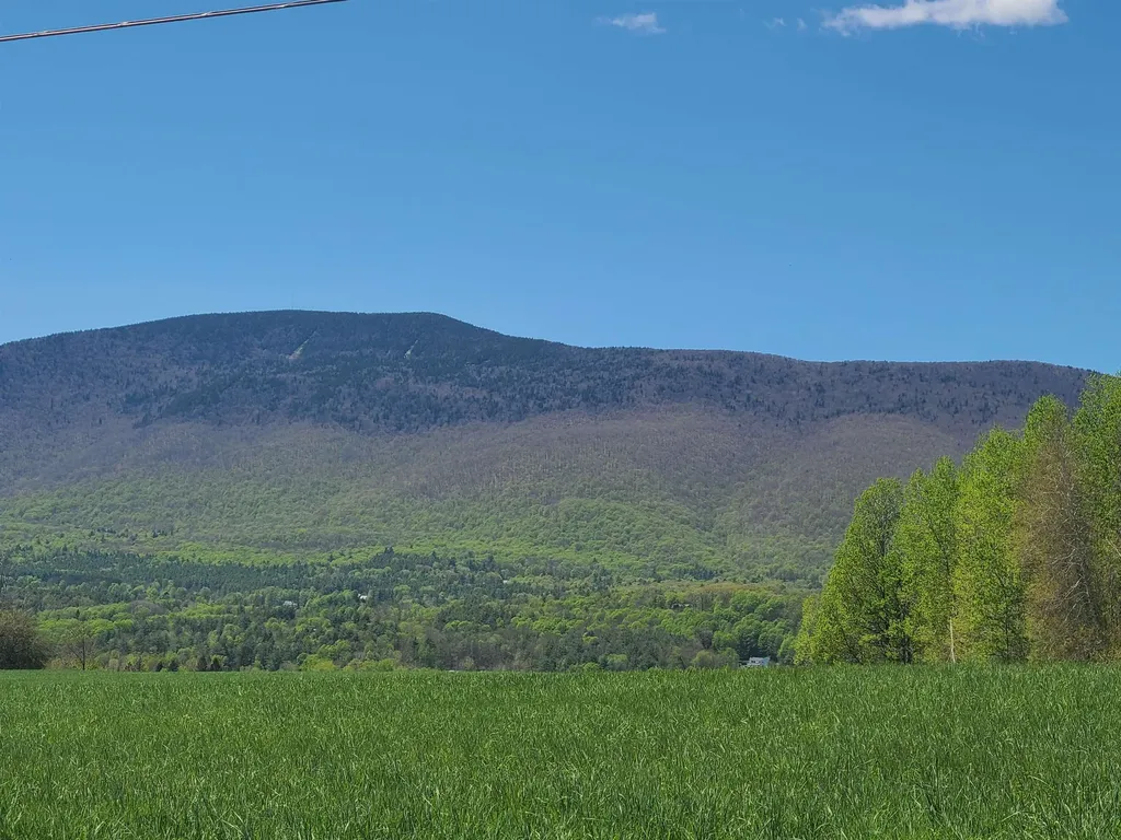 164 Landmark Lane Manchester VT 05255