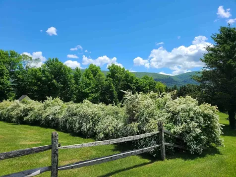 164 Landmark Lane Manchester VT 05255