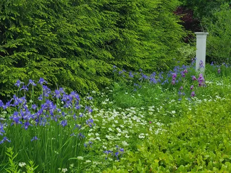 164 Landmark Lane Manchester VT 05255