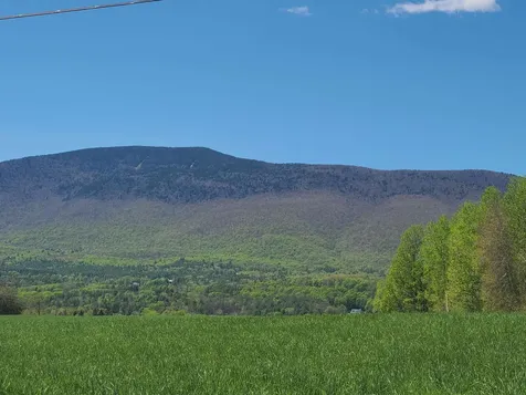 164 Landmark Lane Manchester VT 05255