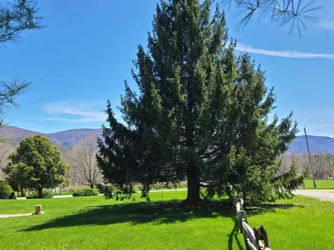 164 Landmark Lane Manchester VT 05255