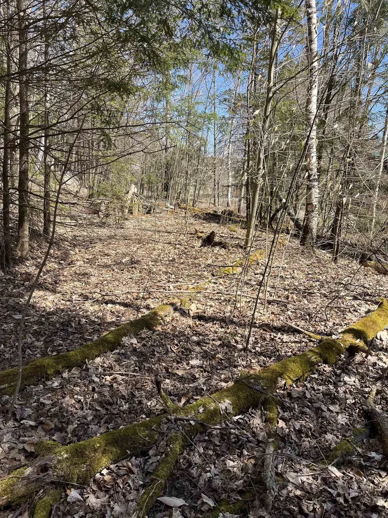 0 Beach Road Elmore VT 05661
