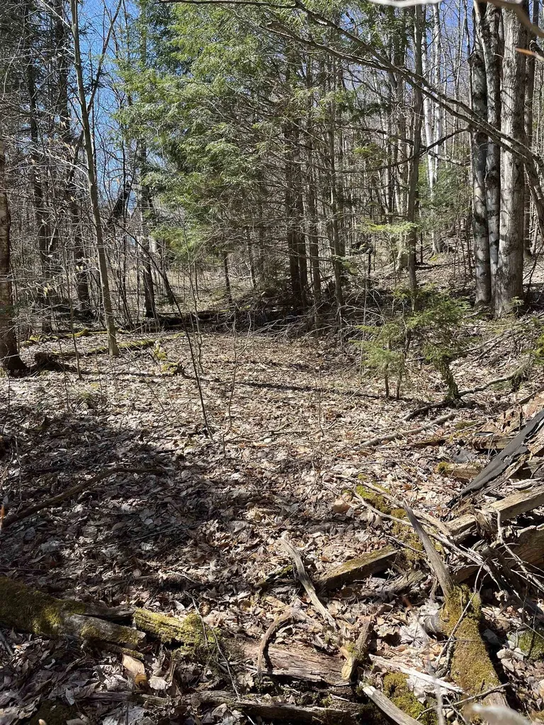 0 Beach Road Elmore VT 05661