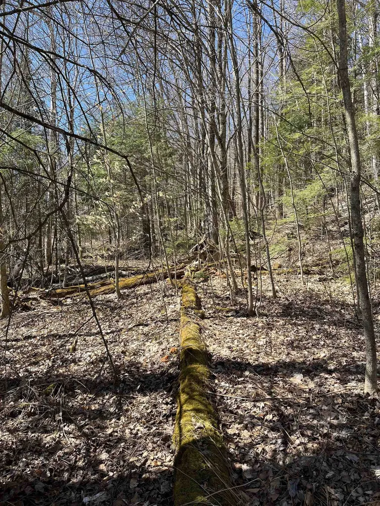0 Beach Road Elmore VT 05661