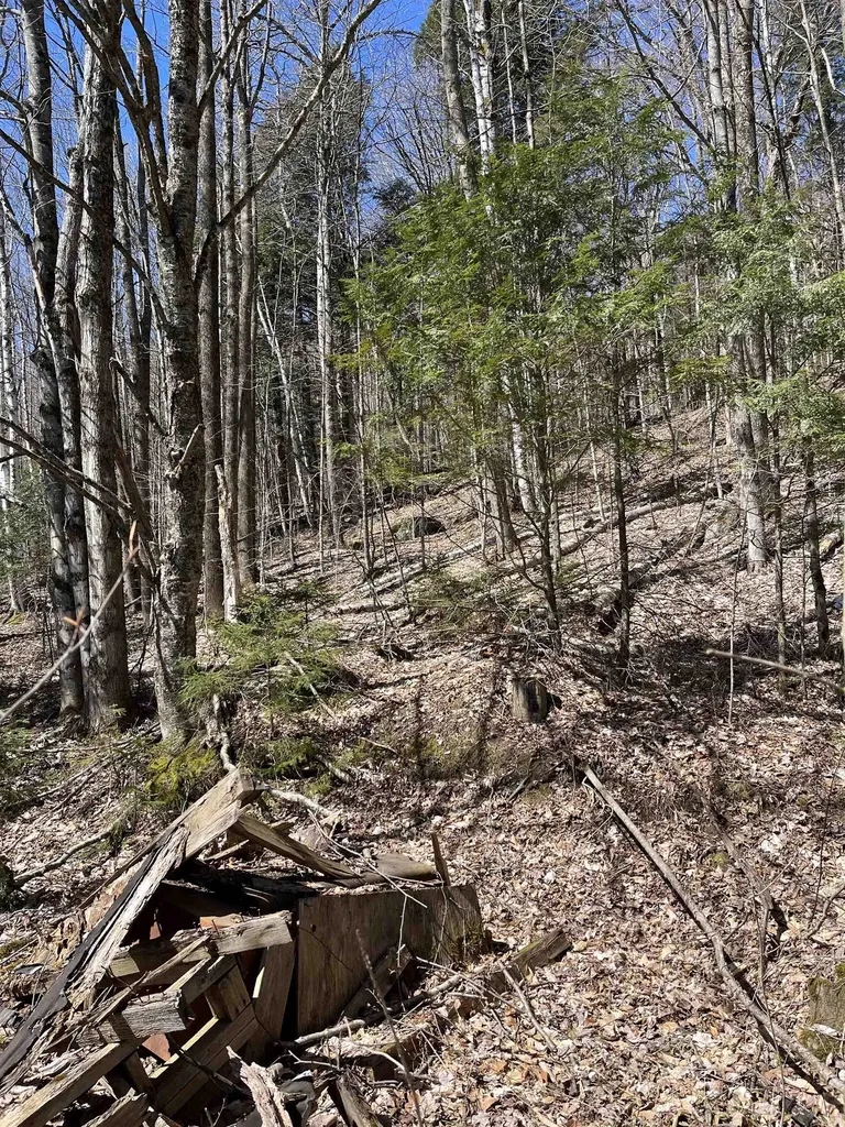 0 Beach Road Elmore VT 05661