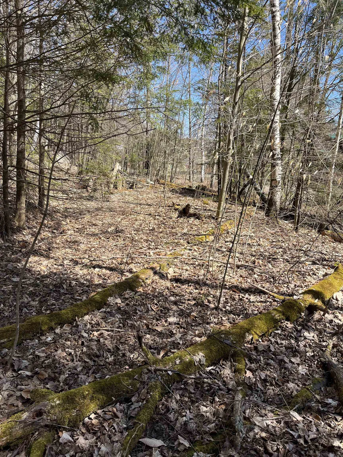 0 Beach Road Elmore VT 05661
