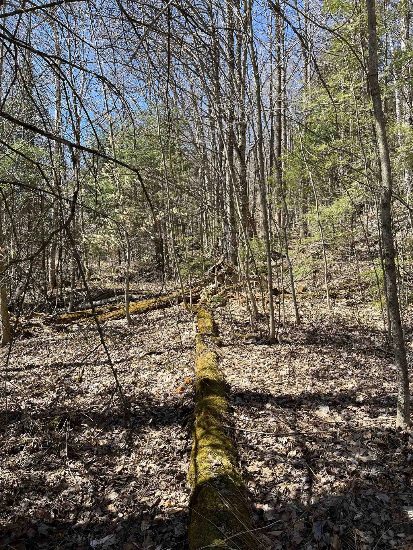 0 Beach Road Elmore VT 05661