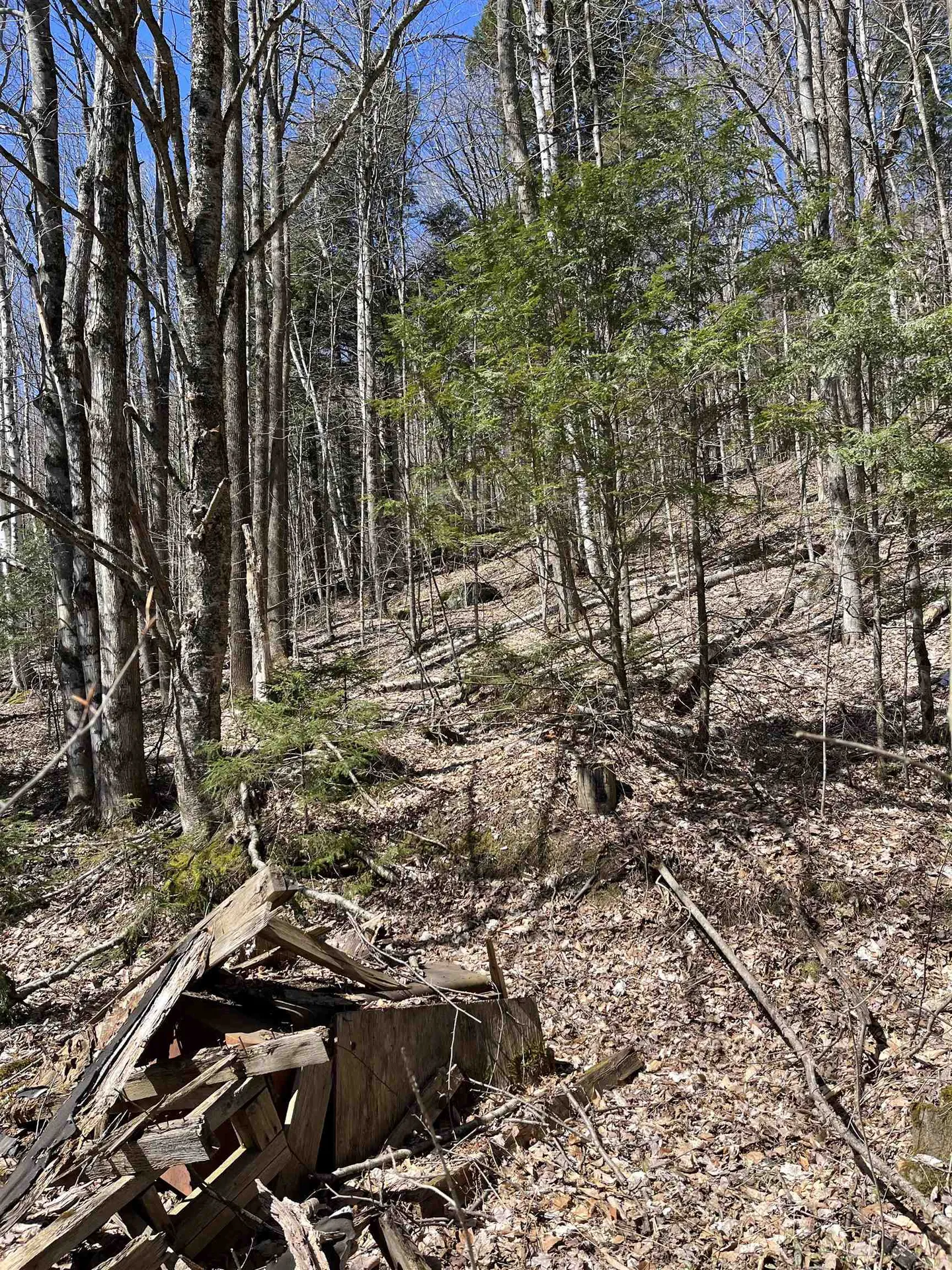 0 Beach Road Elmore VT 05661