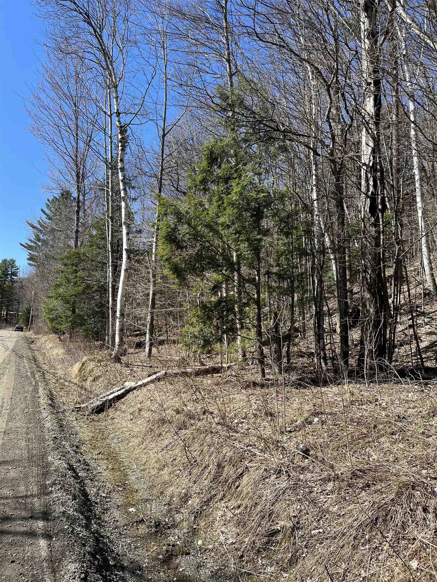 0 Beach Road Elmore VT 05661