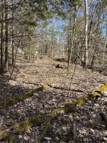 0 Beach Road Elmore VT 05661