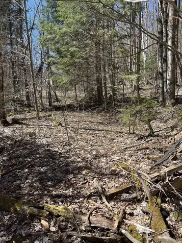 0 Beach Road Elmore VT 05661