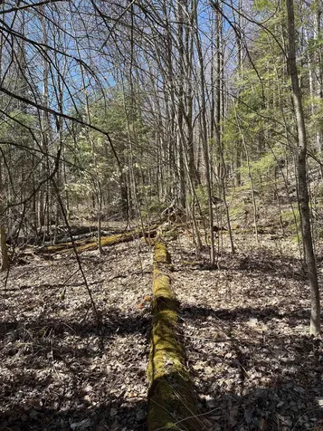 0 Beach Road Elmore VT 05661