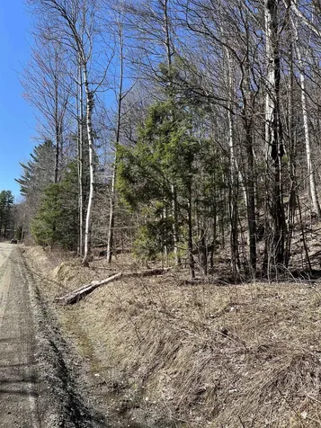 0 Beach Road Elmore VT 05661